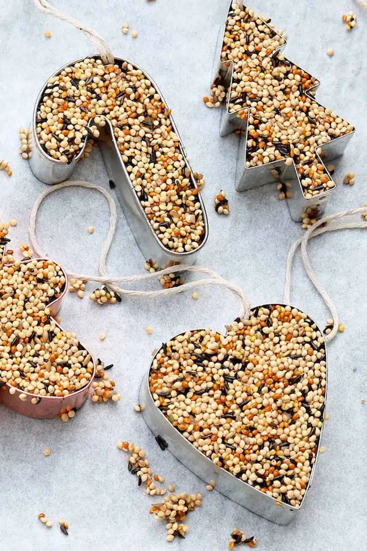 three heart shaped bird seed feeders with string attached to them on a white surface