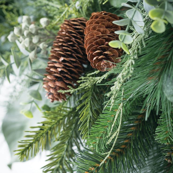 pine cones and greenery are hanging from the branches