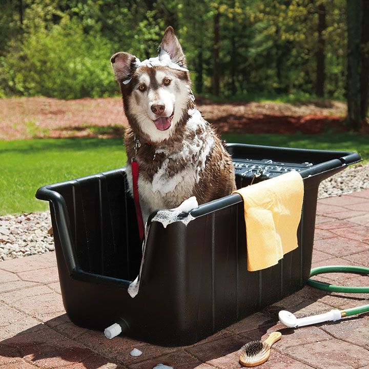 a dog is sitting in the back of a plastic tub with its tongue hanging out