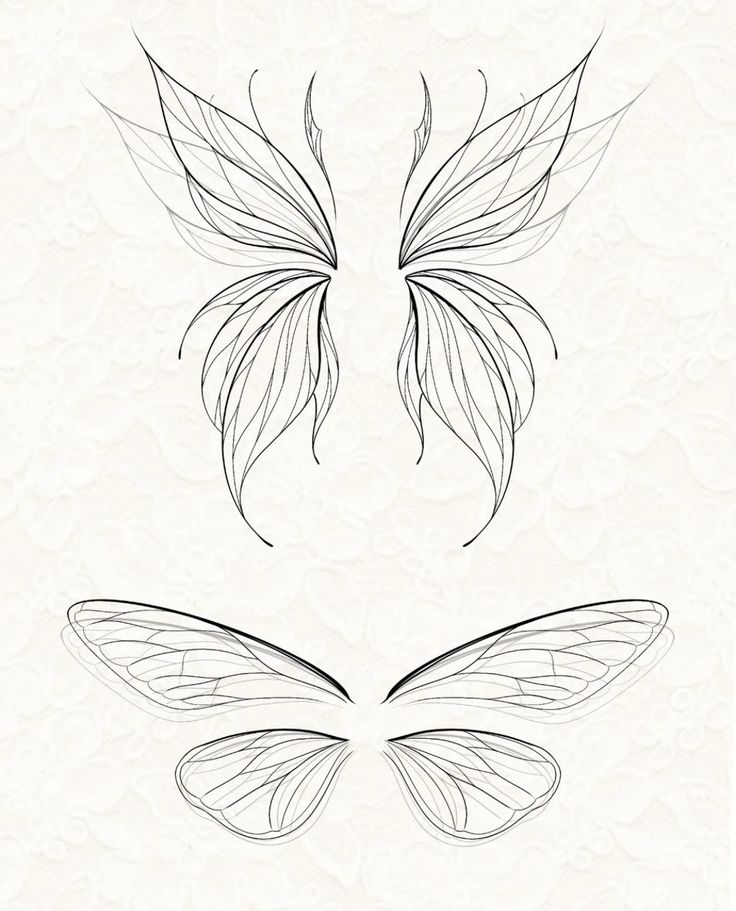 the outlines of two butterflies on a white background