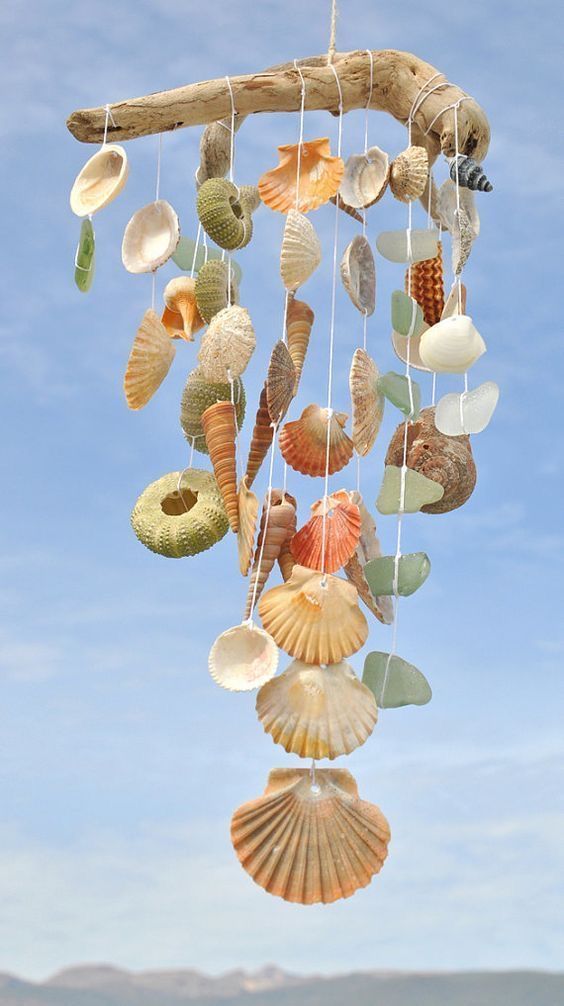 a mobile made out of seashells hanging from a tree branch