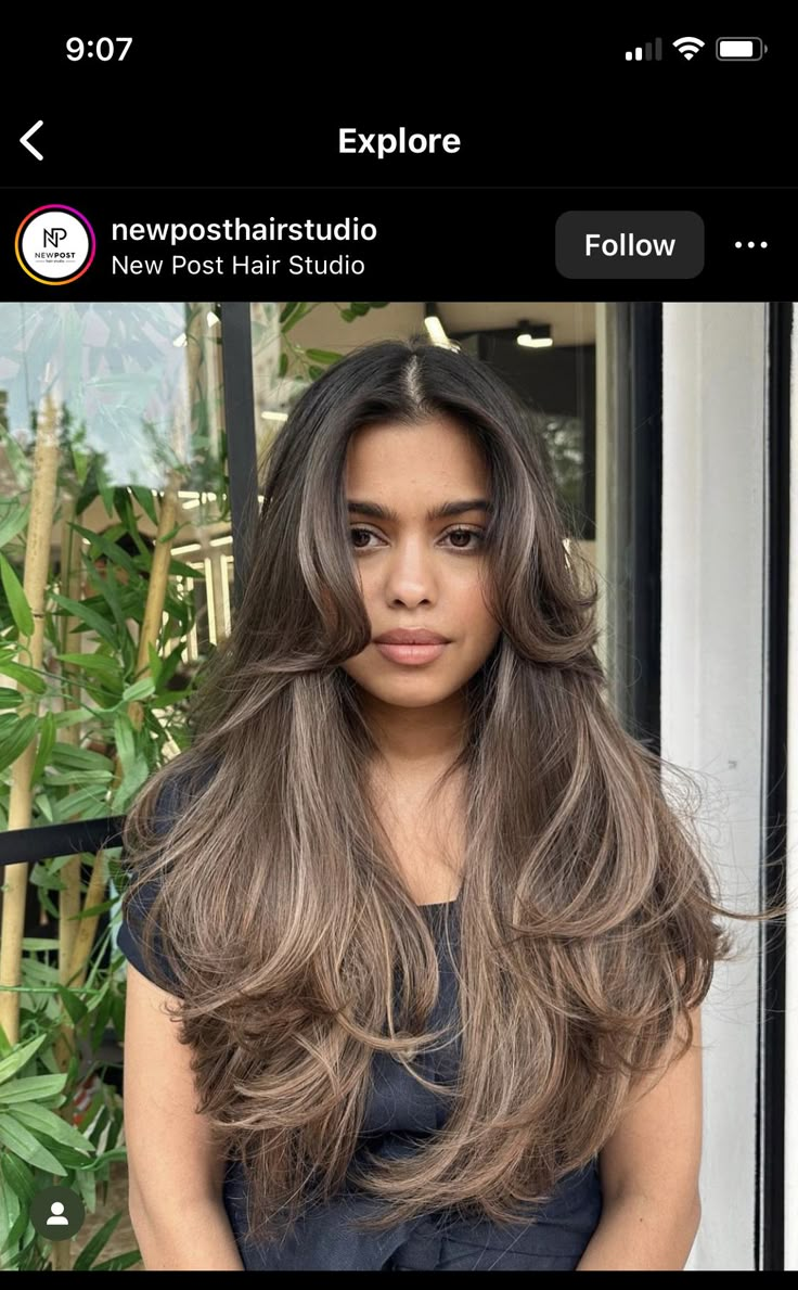 Brook Shield Hair, Black Hair Brunette Highlights, Light Hair Brown Skin, Dark Toner For Blonde Hair, Ash Brown Highlights On Dark Hair, Hair Color For Morena Skin Filipina, Black Hair Tan Skin, Ash Brown Hair Balayage, Hair Color For Morena Skin