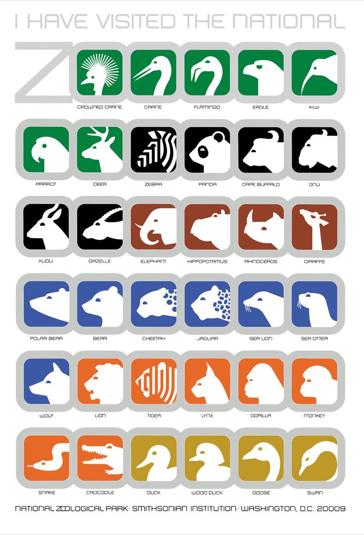 an illustrated poster with different types of animals and their names in various colors, including white