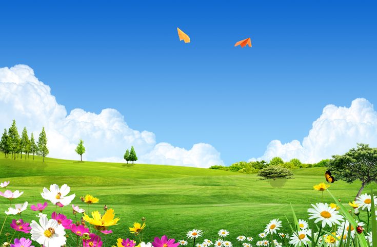 a field with flowers and butterflies flying in the sky