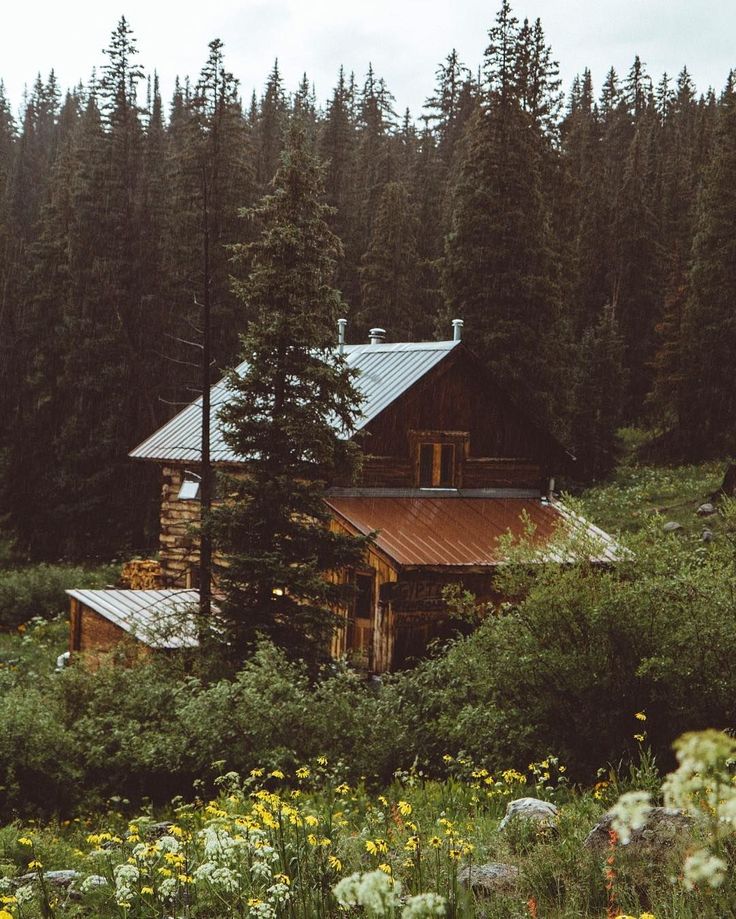 a cabin nestled in the woods surrounded by tall pine trees and wildflowers on a cloudy day