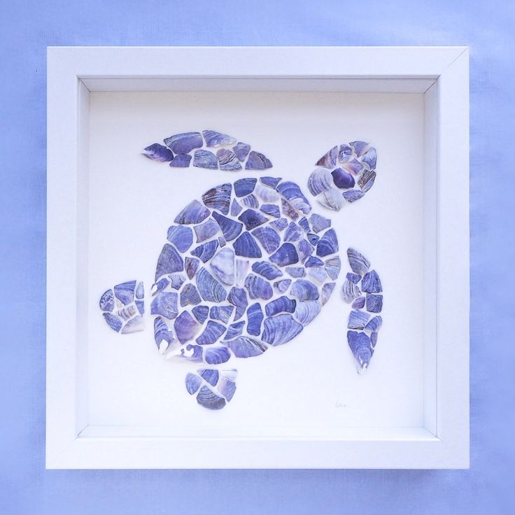 a sea turtle made out of shells in a white frame on a blue background,