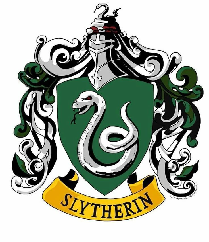 a green and white coat with a snake on it's side, surrounded by two snakes