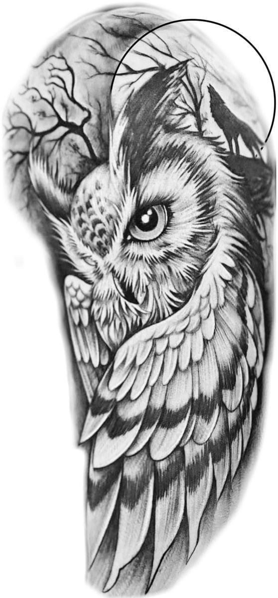 an owl tattoo on the arm