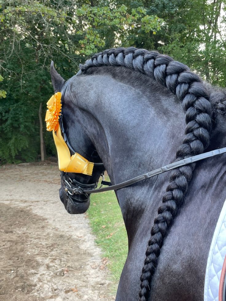 a black horse with braids on it's head