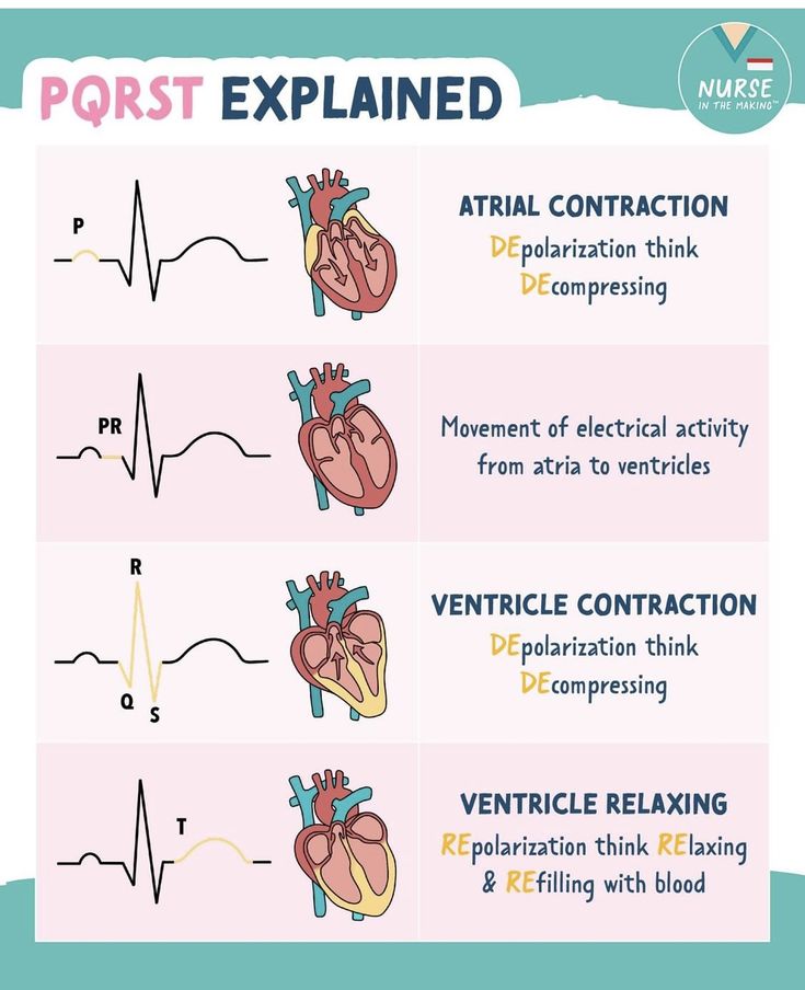 Nursing School Studying Cheat Sheets, Nurse Skills, Medical Assistant Student, Paramedic School, Kedokteran Gigi, Nursing School Essential, Nursing Study Guide, Nursing School Motivation, Medical School Life