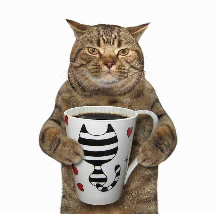 a cat is holding a coffee cup in its paws