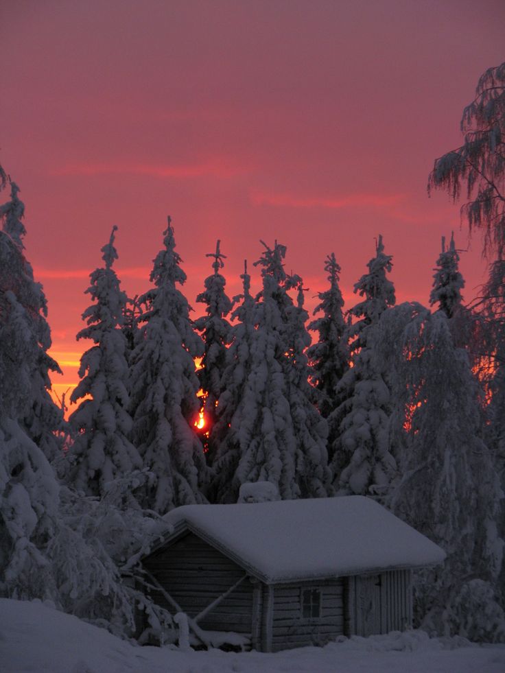 the sun is setting behind some snow covered evergreens and trees in front of a cabin