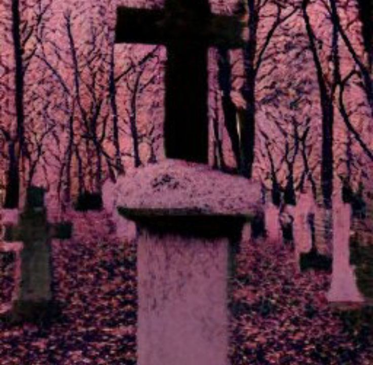 a cemetery with many headstones and trees in the background