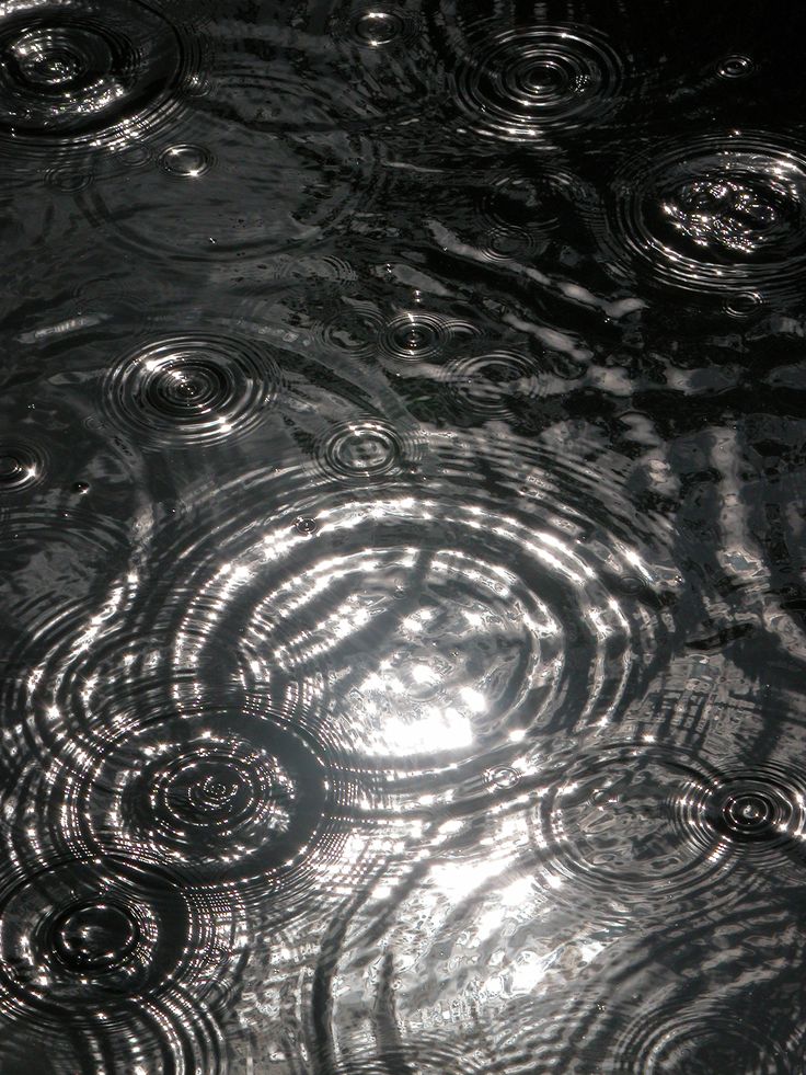 water ripples on the surface of a pond with sun reflecting off it's surface