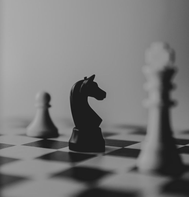 black and white chess pieces on a checkerboard board with one king facing the other