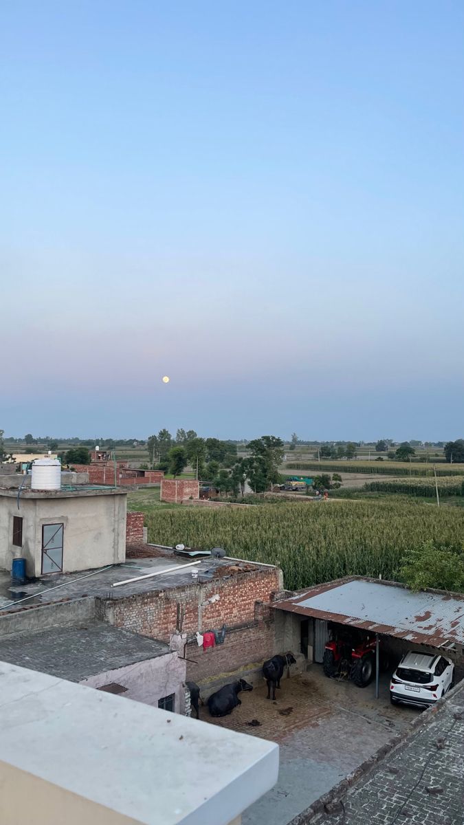 the view from an apartment building looking out over a cornfield