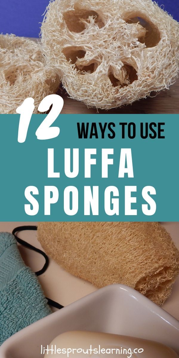 the top ten ways to use luffa sponges