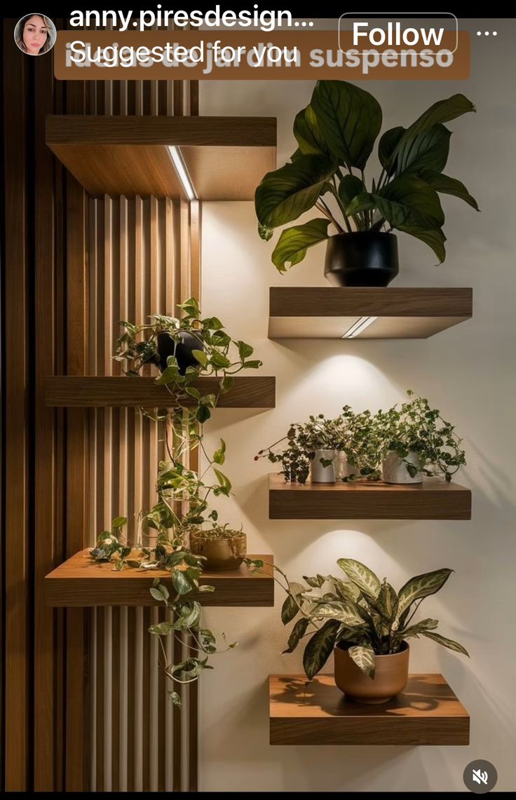 some plants are sitting on shelves in a room