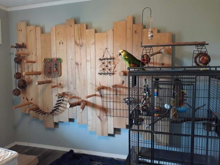 a bird is sitting on top of a cage in front of a wall made out of wooden planks