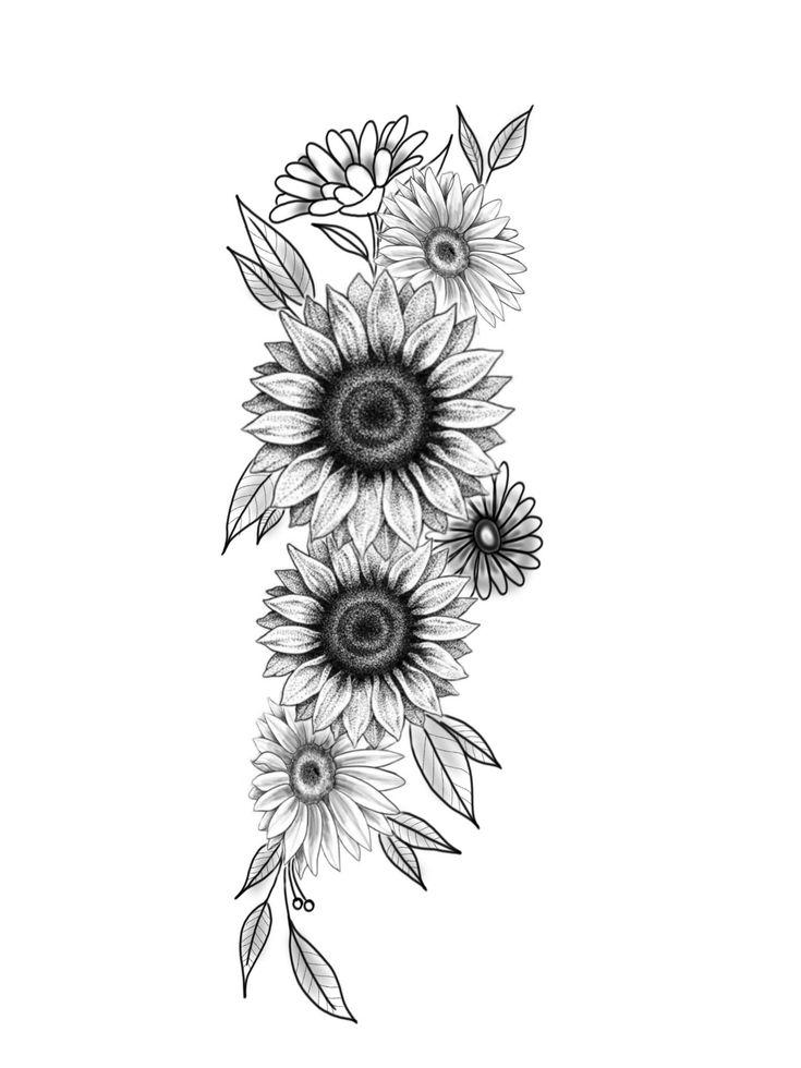 a black and white drawing of sunflowers with leaves on the bottom half of it