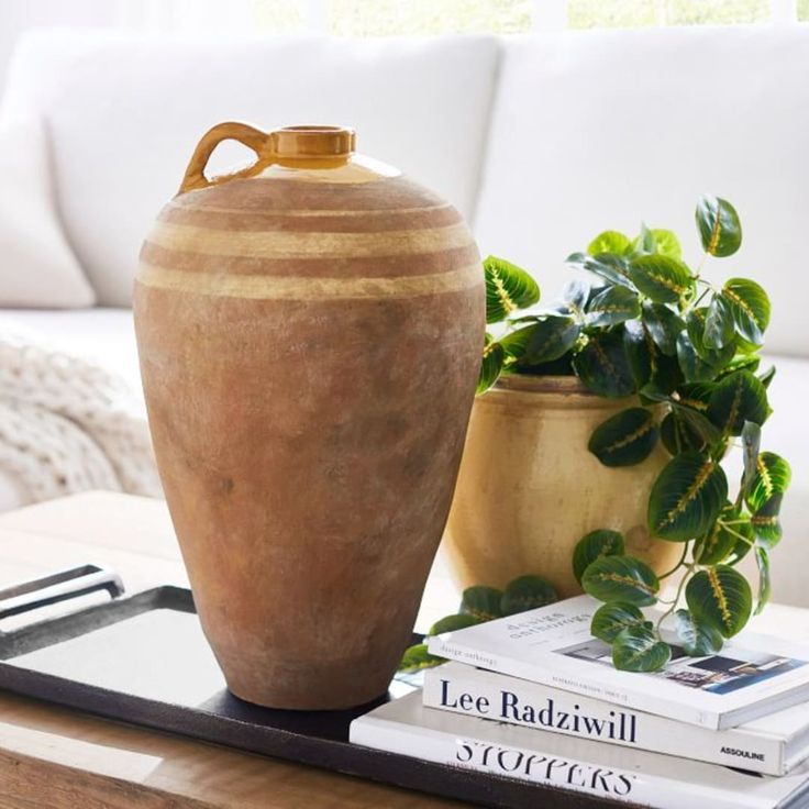 a vase sitting on top of a tray next to a potted plant and books