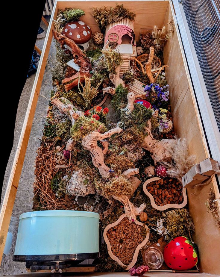 a wooden box filled with lots of different types of plants and animals on top of it