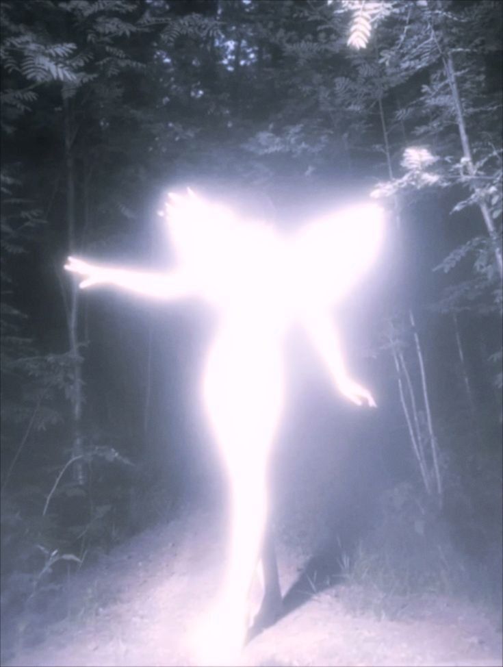 a person standing in the middle of a forest with their arms spread out and lights shining on them