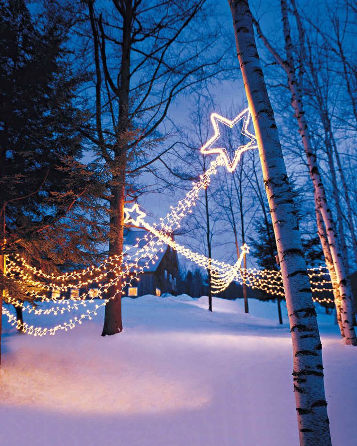 christmas lights strung from trees in the snow