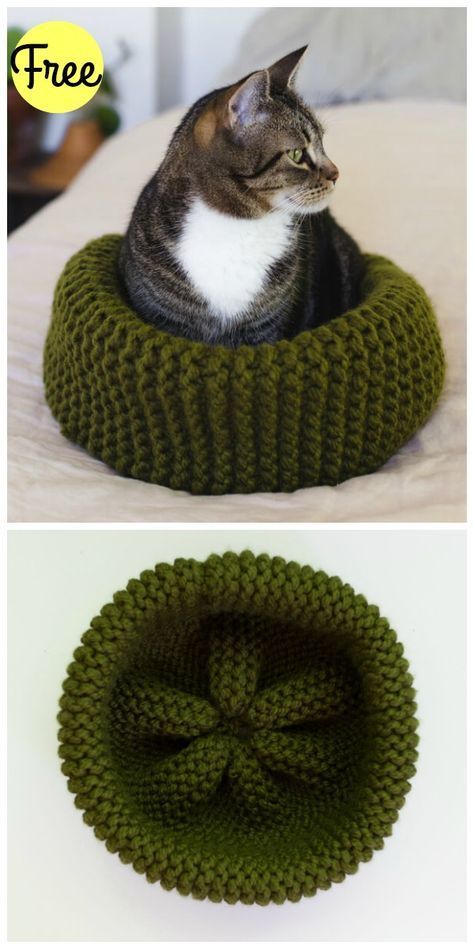 a cat sitting on top of a green knitted bed