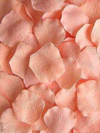 pink petals are arranged in the shape of flowers