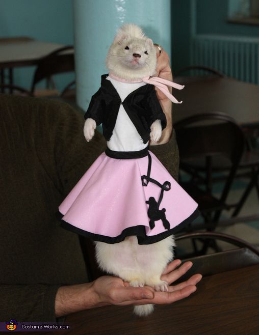 a person holding a cat in a dress