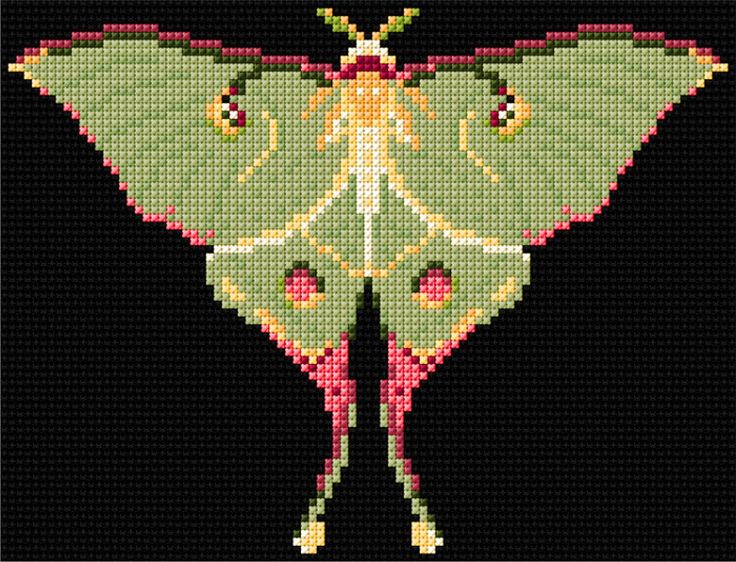 a cross stitch pattern of a green and yellow butterfly on a black background with red dots