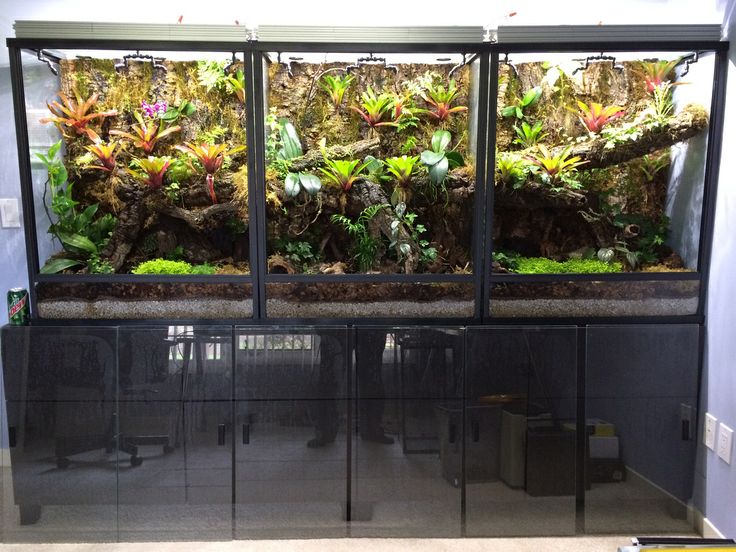 an aquarium filled with lots of green plants and rocks on top of a wall next to a window