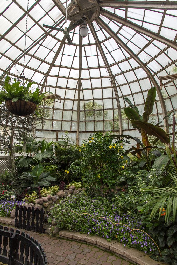 the inside of a greenhouse with lots of plants