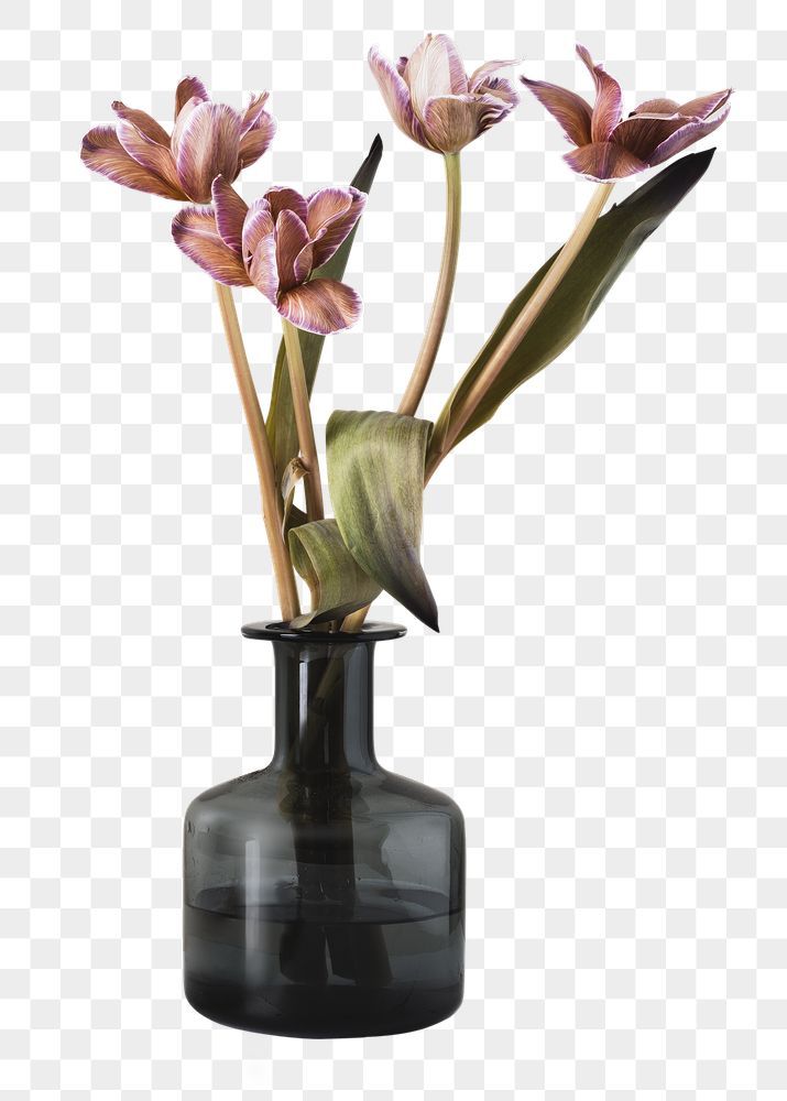 a black vase with flowers in it on a white background, hd png clipart