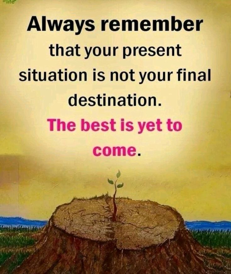 a tree stump with the words, always remember that your present situation is not your final destination