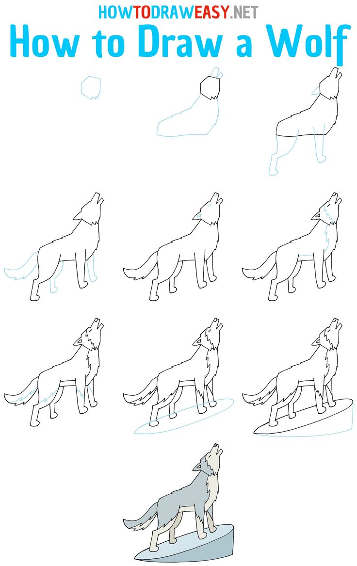 how to draw a wolf step by step drawing instructions for kids and beginners with pictures