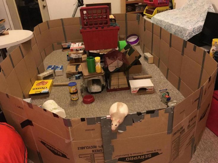 a cardboard box that has some items on top of it in the middle of a room