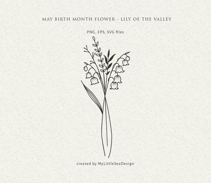 the cover art for may birth month flowers lily of the valley