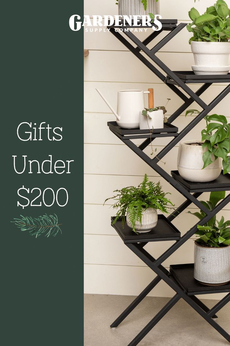 a shelf with potted plants on it and the words gifts under $ 200