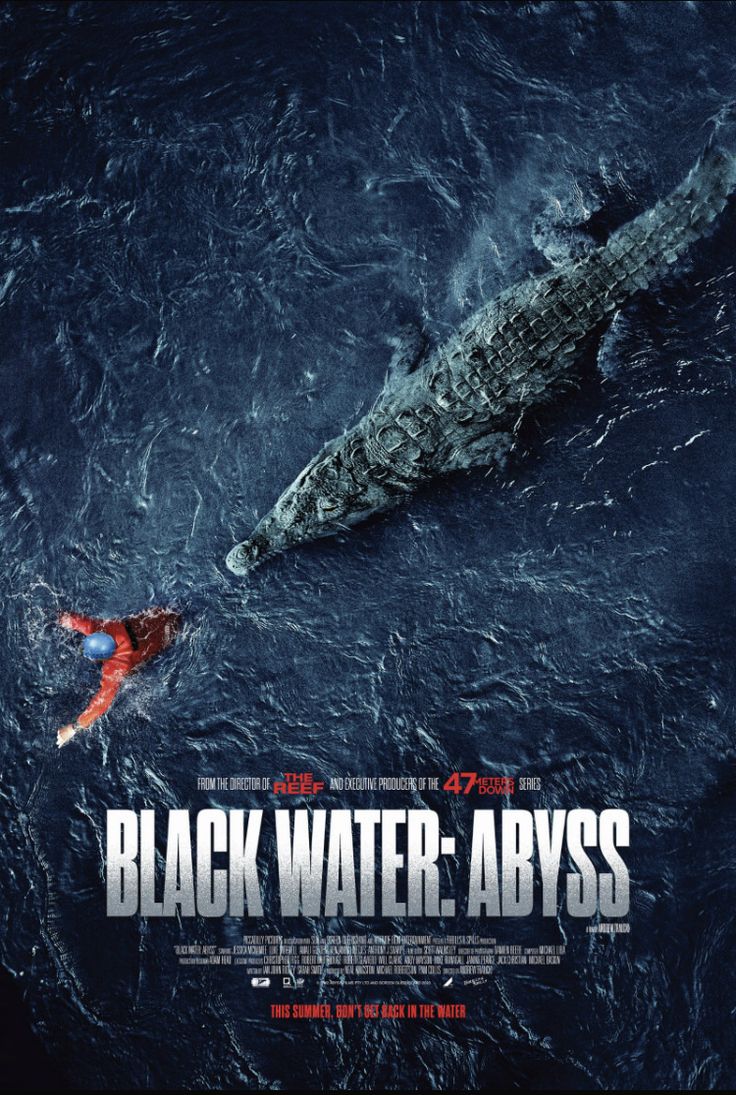 a movie poster for black water abyss with a man swimming in the ocean next to a whale