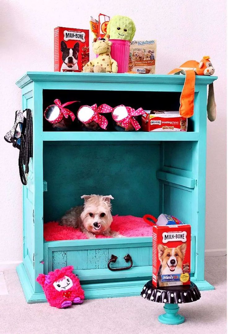 a small dog laying on top of a blue shelf filled with toys and other items