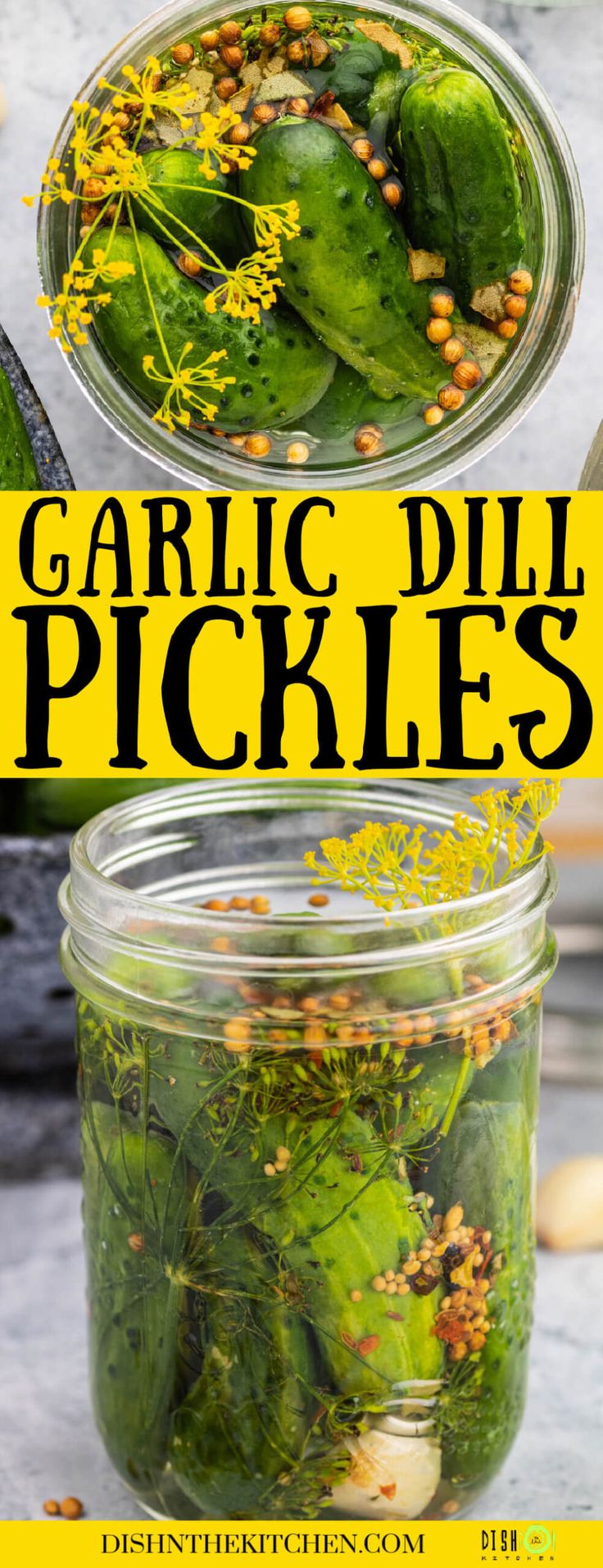 garlic dill pickles in a glass jar