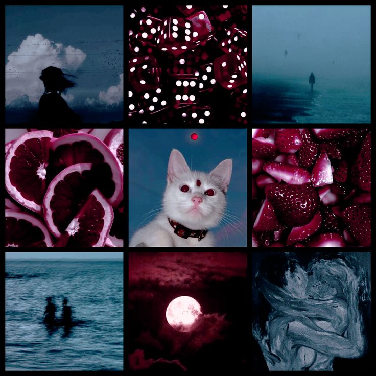 a collage of images with cats and people in the background, including watermelon