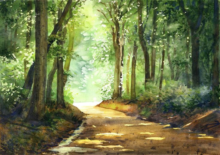 a watercolor painting of a dirt road in the middle of a forest with lots of trees