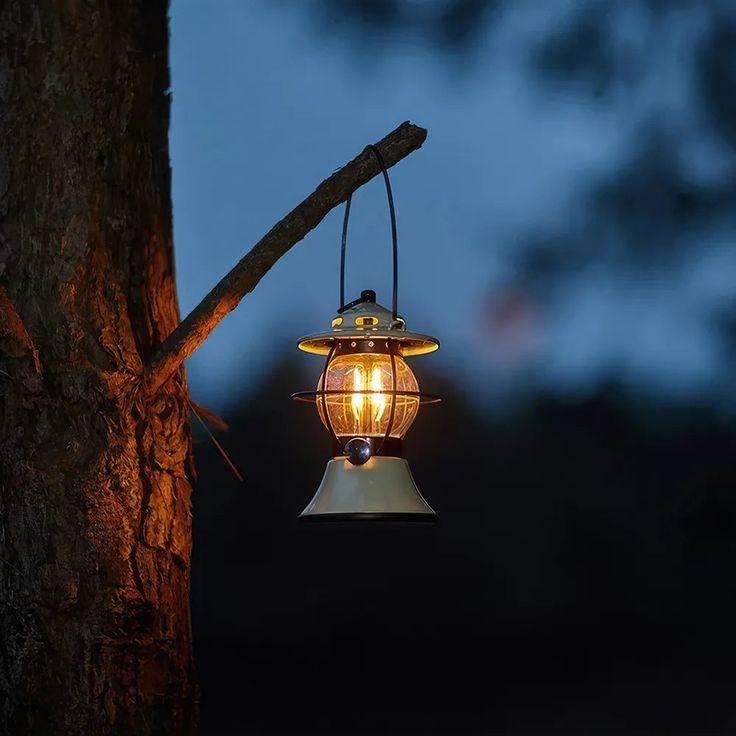 a light hanging from the side of a tree