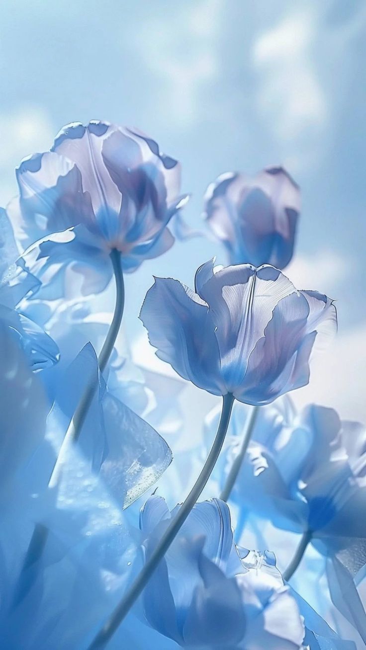 some blue flowers are in the middle of an artistic photo with sky and clouds behind them