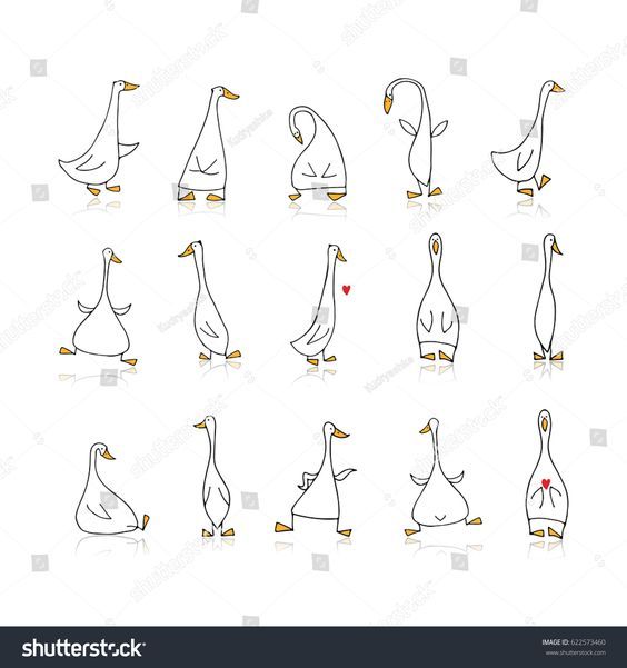 an image of ducks in different poses