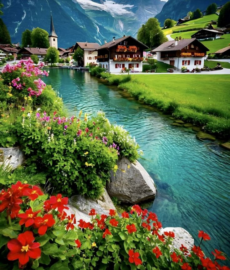 the flowers are blooming on the rocks by the water and mountains in the background