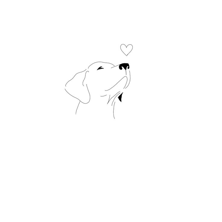 a black and white drawing of a dog with a heart on its nose